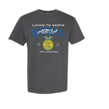 Load image into Gallery viewer, Comfort Colors T-Shirt