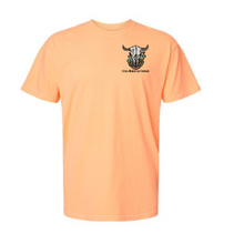 Load image into Gallery viewer, New Summer Colors Comfort Colors Apparel